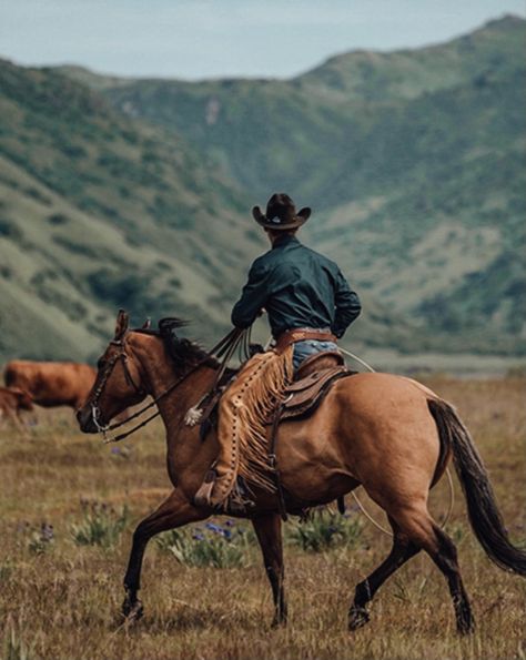 Horse Portrait Photography, Arte Cowboy, Cowboy Photography, Western Photo, Cowboy Pictures, Cowboy Aesthetic, Western Photography, Into The West, Photography Shoot