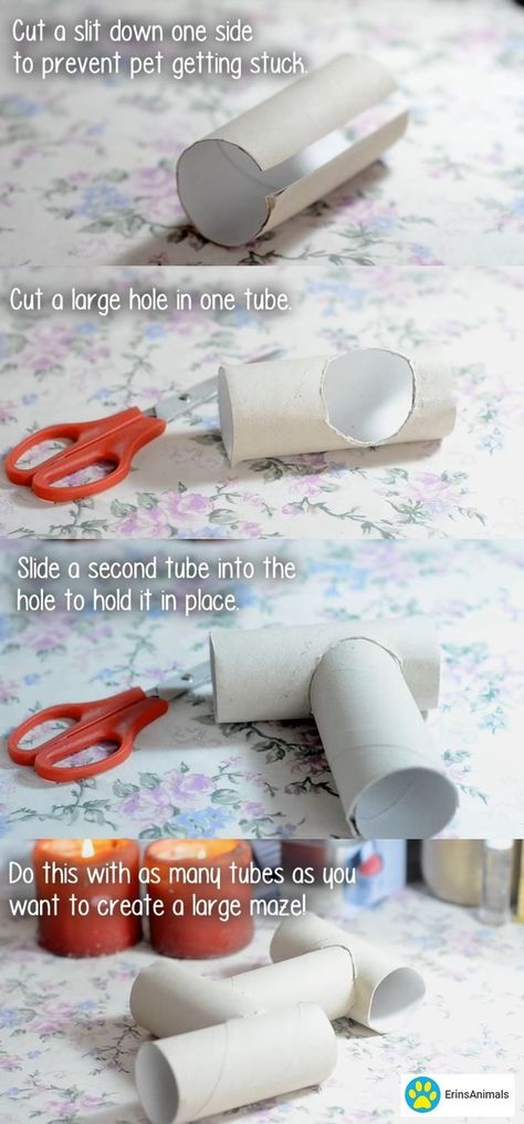 Toilet Paper Rolls, Diy Hamster Toys, Diy Toilet Paper, Hamster Diy, Hamster Toys, Hamster House, Diy Toilet, Toys Diy, Diy Cardboard