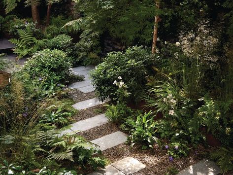 This tiny, tranquil city sanctuary garden designed by Harry Holding makes the most of its shady situation Small London Garden, Shady Courtyard, Sanctuary Garden, Tropical Forests, Future Garden, Garden Privacy, London Garden, Garden Designer, Garden Design Ideas