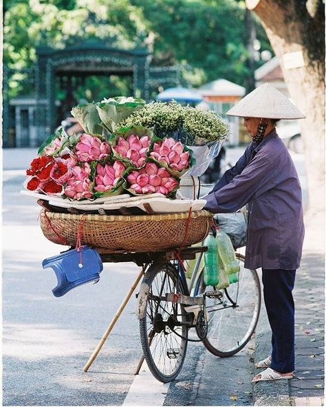 Vietnam Flower Market, Flower Market Photography, Hanoi Vietnam Photography, Vietnam Flowers, Vietnam Market, Buddhist Pagoda, Vietnam Tourism, Beautiful Vietnam, Asian Flowers