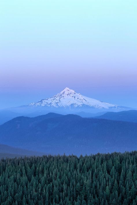 View of Mount Hood from Larch Mountain Oregon USA // Adrian Blair Portland Oregon Travel, Oregon Mountains, Mt Hood Oregon, Oregon Life, Portland Travel, Mount Hood, Scenic Photos, Destination Photography, Mt Hood