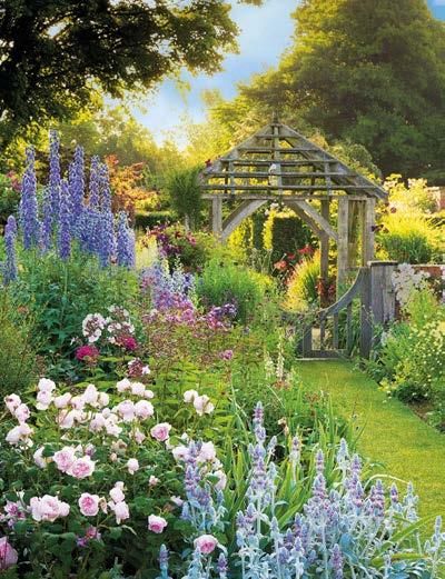 Wollarton Wollerton Old Hall, Phlox Paniculata, English Garden Design, Oswald Chambers, Cottage Garden Design, Cottage Garden Plants, English Cottage Garden, English Country Gardens, David Austin