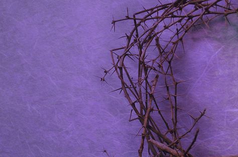 A holy Lent Lent Days Images, Catholic Lent Wallpaper, Lent Backgrounds, Lent Pictures, Lent Poster, Facebook Background, Feeling Abandoned, Images Of Christ, Jesus Face