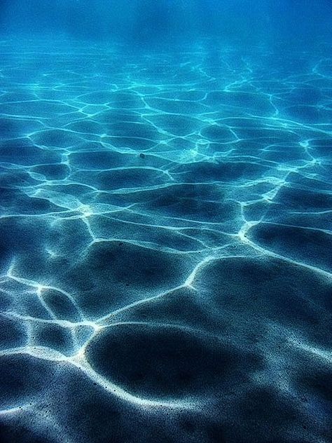 Light dancing underwater. Impossible not to look at this and get inspired to protect this beautiful planet. Under The Water, Underwater Photography, Sea And Ocean, Underwater World, Ocean Life, Ocean Waves, Sea Life, Blue Sea, Blue Ocean