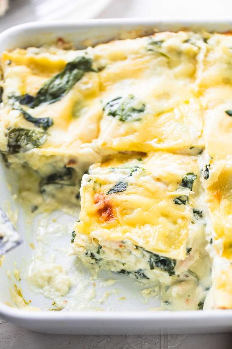 Easy White Chicken Lasagna with Spinach | Creme De La Crumb Dinner For Beginner Cooks, Dinner Guest Recipes, White Lasagne, Spinach Lasagna Recipe, Lasagna With Spinach, Chicken Spinach Lasagna, White Chicken Lasagna, Chicken Lasagna Recipe, Lasagna Recipe With Ricotta