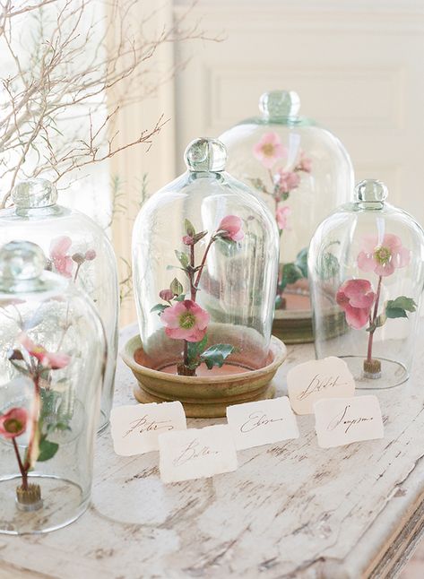 Bell Jar Centerpiece, Jar Centerpieces, Wedding Floral Centerpieces, The Bell Jar, Rustic Chic Wedding, Floral Centerpieces, Flower Bouquet Wedding, Glass Domes, Reception Decorations