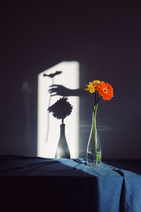 Light And Shadow Photography, Tableaux Vivants, Object Photography, Photographie Portrait Inspiration, Shadow Photography, Shadow Photos, Still Life Photos, Shadow Art, Conceptual Photography