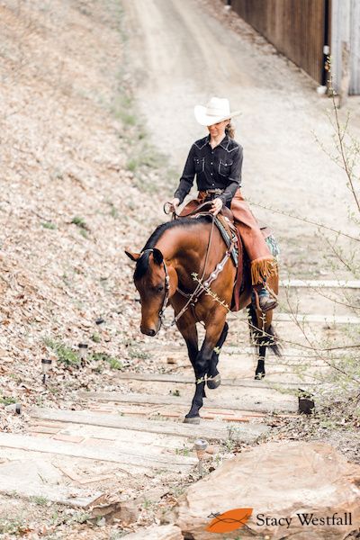 5 steps for teaching the free walk for western dressage. - Official Site of Stacy Westfall Western Dressage, Ranch Riding, Inspirational Horse Quotes, Reining Horses, Horse Training Tips, American Quarter Horse, Western Riding, Horse Aesthetic, My Horse