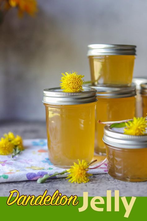 jars of dandelion jelly Dandelion Jelly Recipe, How To Make Jelly, Dandelion Tea, Foraging Recipes, Canning Jam, Dandelion Jelly, Jelly Recipe, Yellow Foods, Pint Jars