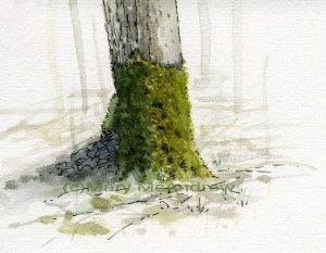 Amateur Moss Study How To Paint Moss Watercolor, How To Paint Moss, How To Draw Moss, Moss On Trees, Watercolor Moss, Moss Drawing, Moss Painting, Landscape Design Drawings, Nature Sketch