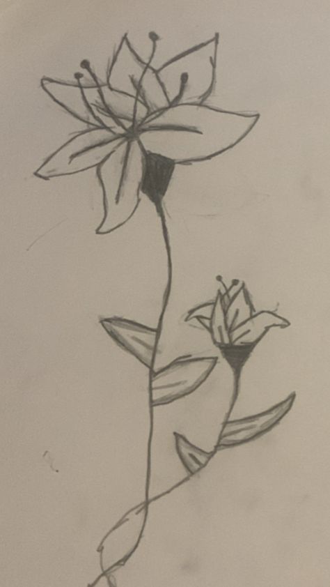 Vase Drawing Simple, Little Flower Drawing, Flowers In Vase Drawing, Elegant Flower Drawing, Flower Drawing Simple, Vase Drawing, Flowers In Vase, Drawing Simple, Elegant Flowers