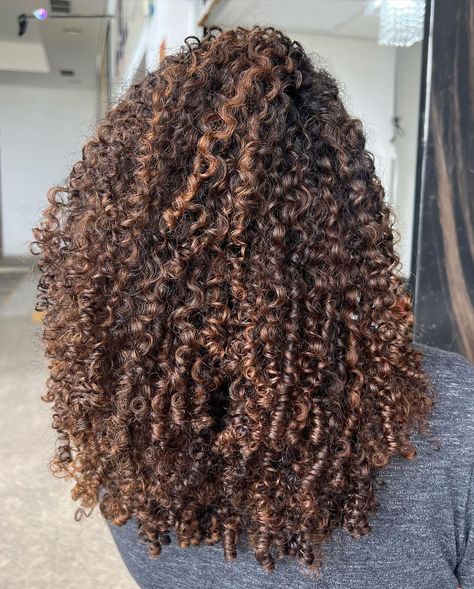 Curly Face Framing Highlights, Highlights Black Women Curly Hair, Caramel Highlights On Black Curly Hair, Highlights With Curly Hair, Curly Caramel Highlights, Brown Highlights Curly Hair, Short Natural Curls Hairstyles, Chocolate Brown Curly Hair, Highlights Natural Hair