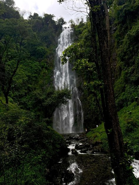 🌿 Explore the breathtaking beauty of Materuni Waterfall! 💦 Immerse yourself in nature's wonder and witness the cascading waters amidst lush greenery. 🌳✨ It's a hidden gem that will leave you in awe. 🏞️💙 Don't miss the chance to experience this natural masterpiece. 😍 #MateruniWaterfall Breathtaking Beauty, Lush Greenery, Hidden Gem, Tanzania, Lush, Wonder, Water, Quick Saves, Beauty