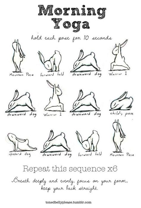 This is a great way to start any morning. I would recommend trying this cute sequence below – repeat it about 6 times. Bunny Yoga, Yoga Foto's, Yoga Positionen, Yoga Ashtanga, Poses For Beginners, Body Transformations, Killer Workouts, Sup Yoga, Beginner Yoga