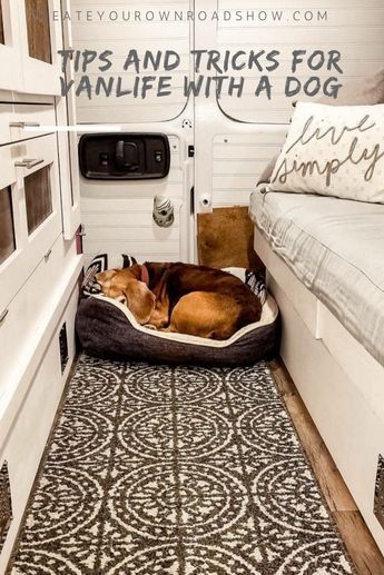 Sprinter Van Conversion With Dogs, Campervan Dog Bed, Van Conversion With Dog Crate, Van Living With Dog, Vanlife With A Dog, Dog Friendly Van Conversion, Camper With Dogs, Van Life With Dog, Van Living Hacks