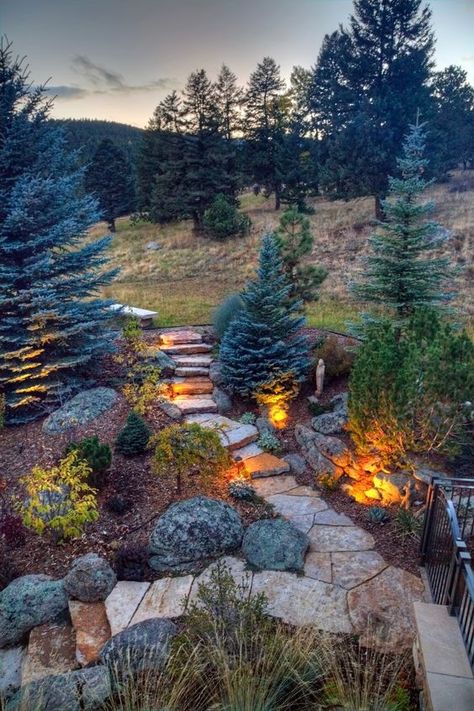 Backyard Landscaping Mountain, Mountain Xeriscape Landscaping, Burm Landscaping Backyards, Forest Front Yard Landscaping, Mountain Deck Ideas Outdoor Living, Mountain Landscaping Ideas Cabin, Mountain Lodge Landscaping, Conifer Garden Design, Mountain Property Landscaping