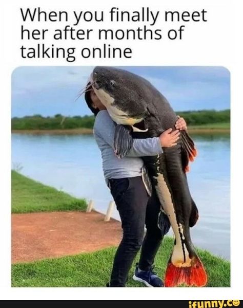 Found on iFunny Meme Page, Fishing Pictures, Meme Template, Fishing Humor, Dating Humor, Love At First Sight, Catfish, Bones Funny, Cool Pictures