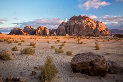 Wadi Rum Jordan, Jordan Photography, Nature Destinations, Mangrove Swamp, Desert Environment, Best Nature, Desert Life, Wadi Rum, المملكة العربية السعودية