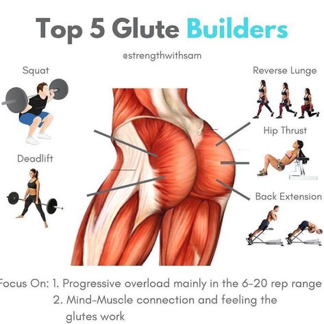 Workout Ideas on Instagram: “🍑Top 5 Glute-Building Exercises🍑 by @strengthwithsam  __ 👉Tag someone who is wanting to grow their glutes! __ 💥My top five exercises for…” Glute Building, Glute Workout Women, Gym Antrenmanları, Workout Women, Glute Workout, Home Exercise Routines, Biceps Workout, Do Exercise, Gym Workout Tips