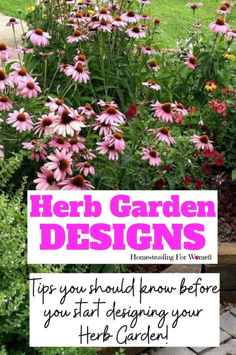 Perennial Herb Garden Layout, Herb Garden Designs Layout, Herb Flower Garden, Herb Garden Layout Ideas, English Herb Garden, In Ground Herb Garden, Large Herb Garden Layout, Medicine Garden Layout, Outdoor Herb Garden Design