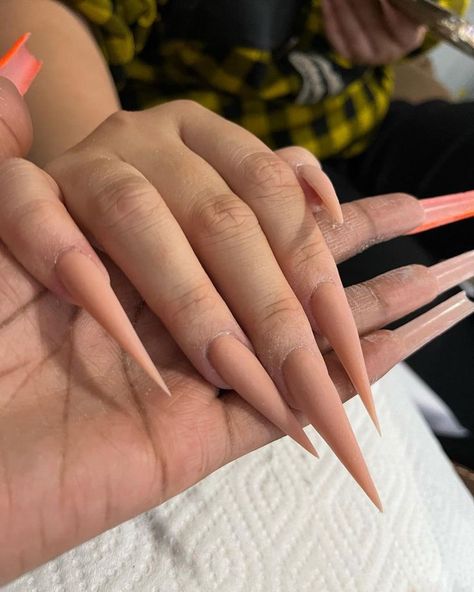 Stiletto Nude Nails, Nude Nails Stiletto, Nude Long Nails, Nude Stiletto Nails, Acrylic Nails Stiletto, Stilleto Nails Designs, Disney Acrylic Nails, Pointy Nails, Claw Nails