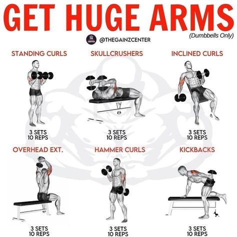 Bro Split, Big Arm Workout, Bicep And Tricep Workout, Progressive Overload, Workout Gym Routine, Gym Workout Guide, Fit Aesthetic, Muscle Building Tips, Gym Workout Planner