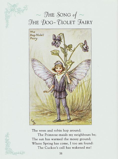 The Song Of Dog-Violet Fairy, a spring Flower Fairy poem:   The wren and robin hop around; The Primrose-maids my neighbours be; The sun has warmed the mossy ground; When Spring has come, I too am found; The Cuckoo's call has wakened me! Flower Poetry, Illustration Art Nouveau, 동화 삽화, Fairy Drawings, Summer Fairy, Fairy Illustration, Fairy Pictures, Cicely Mary Barker, Vintage Fairies