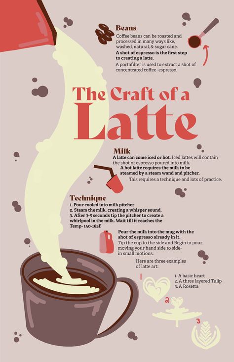 Graphic Design Infographic Inspiration, Cool Infographics, Coffee Facts Infographic, Coffee Infographic Design, Creative Infographic Design Layout, Barista Illustration, Coffee Infographic Posters, Food Infographic Design, Cafe Graphic Design