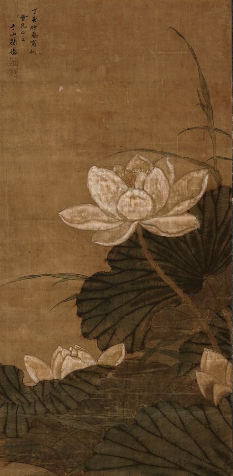 sun, yi lotus ||| flowers & birds ||| sotheby's n10114lotb9txcen Aesthetic Lotus, Chinese Flower Wallpaper, Lotus Flower Aesthetic Wallpaper, Lotus Wallpaper Aesthetic, Lotus Flower Background, Lotus Aesthetic Art, Lotus Flower Aesthetic, Lotus Aesthetic, Lily Poster