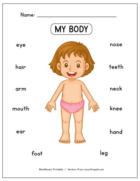 Printable: Learn the Body Parts Worksheet - https://tribobot.com Body Parts Worksheet, Body Worksheet, The Body, To Learn