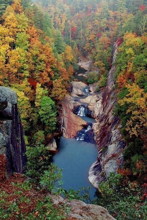 Tallulah Falls, Georgia Tallulah Gorge, Gorges State Park, Trip Planner, Alam Yang Indah, Pretty Places, Fall Foliage, In The Fall, Places Around The World, Vacation Spots