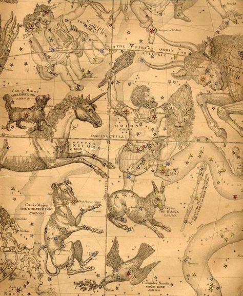 The constellation of the hunter Orion, with his dogs Canis Major and Canis Minor, in Burritt's Geography of the Heavens, New York, 1856. Orion Constellation Tattoo, Orion Constellation, Constellation Tattoo, Constellation Map, Buku Harry Potter, Constellation Tattoos, Star Chart, Look At The Sky, Old Maps