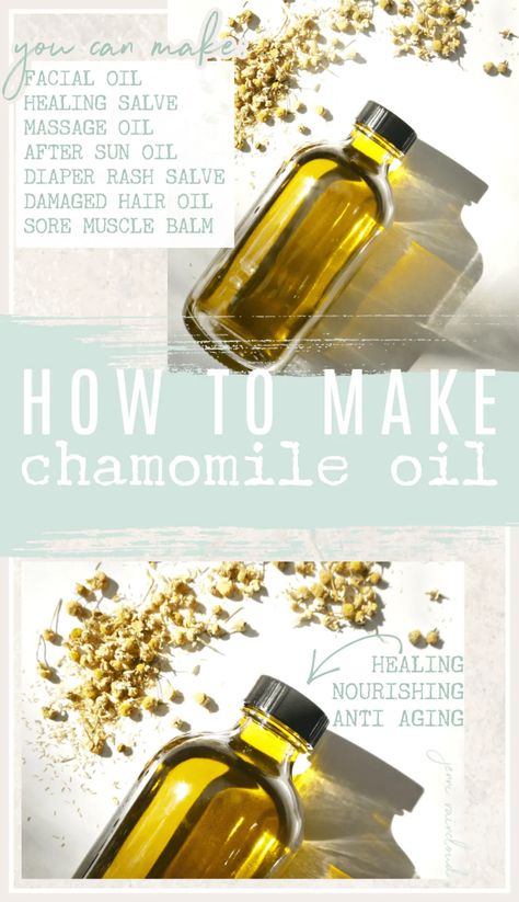 Diy Oil Recipes, Diy Herbal Body Oil, Chamomile Shampoo Diy, Diy Herbal Face Oil, Things To Do With Chamomile, Diy Witchy Oils, Diy Herb Infused Body Oils, Diy Essential Oil Recipes How To Make, How To Make Chamomile Oil