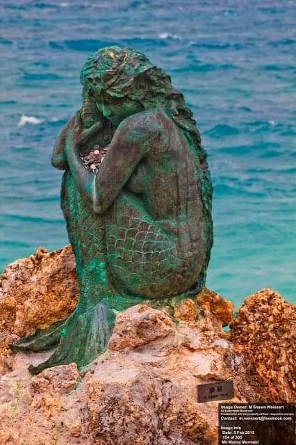 Mermaid Statue, Mermaid Sculpture, Mermaid Images, Mermaid Artwork, Mermaid Statues, Water Nymphs, Mermaid Pictures, Mermaid Aesthetic, Mermaids And Mermen