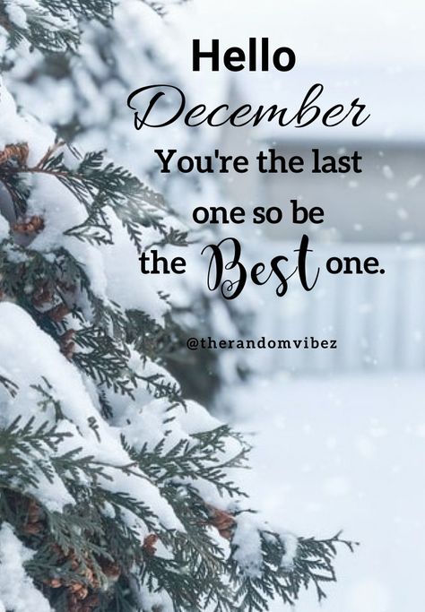 Hello December! You're the last one so be the best one. #Hellodecemberquotes #Welcomedecemberquotes #Hellowinterquotes #Happydecemberquotes #Decemberquotes #2020Decemberquotes #December2020quotes #Decembermonthquotes #Happymonthquotes #Decemberimages #Funnydecemberquotes #Decemberpicturequotes #Decemberpics #Beautifuldecemberquotes #Festivequotes #Winterquotes #Festivemonthquotes #Christmasmonthquotes #Decemberwintermonth #Decembercaptions #Instaquotes #Instastories #Decemberberimagesforfb Good Bye November Hello December Quotes, 1 December Quotes, December 1st Quotes, Welcome December Quotes, Hello December Pictures, Bye November, Hello December Quotes, Hello December Images, Last Month Of The Year