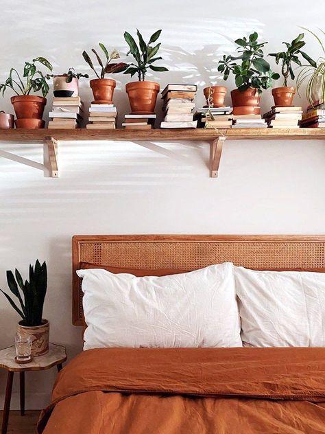 Indoor Plant Shelves, Deco Studio, Plant Shelf, Bedroom Style, Bedroom Plants, Inspiring Things, Above Bed, Room With Plants, Plant Shelves