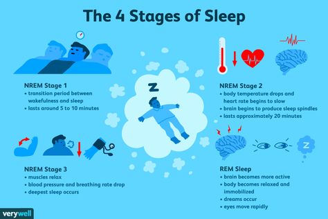 Sleep (NREM and REM Sleep Cycles ... Rem Sleep Cycle, Pattern Meaning, Stages Of Sleep, Sleep Studies, Rem Sleep, Sleep Cycle, When You Sleep, Celebrities Humor, Circadian Rhythm