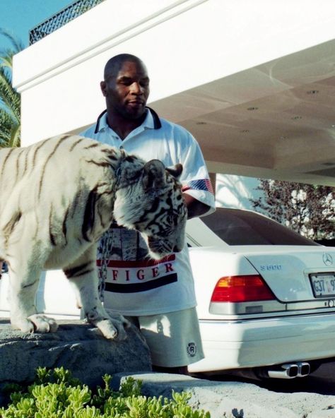 Mike Tyson in Las Vegas with his white Bengal tiger Kenya, 1996. 🐅 Hunter Street, Iron Mike, Gang Culture, Legendary Pictures, Photography Movies, Hobbies For Men, Celebrity Culture, Bengal Tiger, Mike Tyson