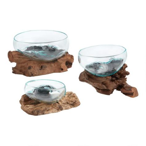 Natural Driftwood And Blown Glass Bowl - v1 Driftwood Terrarium, Bowl Terrarium, White Gravel, Glass Bowl Decor, Glass Fish Bowl, Bowl Decor, Pebble Color, Decorative Pebbles, Mini Terrarium