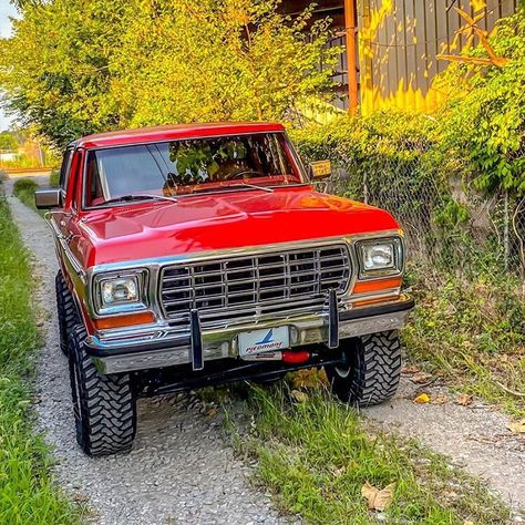 1972 Ford Bronco, 1989 Ford Bronco Ii, 79 Bronco, 1975 Ford Bronco, 1988 Bronco Ii, 1978 Ford Bronco, 1979 Ford Bronco, 79 Ford Truck, Bronco Truck