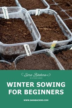 Winter Allotment, Seed Stratification, Milk Jugs Garden, Planter Gardening, Winter Planting, Growing Winter Vegetables, Allotment Ideas, Winter Container Gardening, Winter Sowing