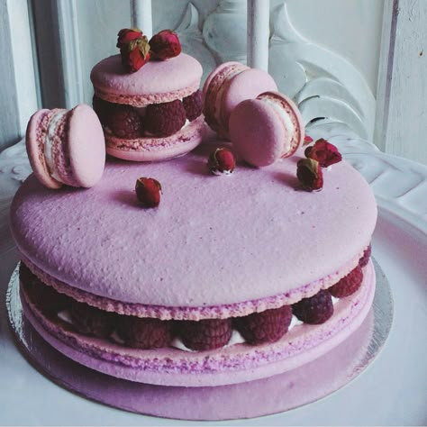 Big Macaron Cake, Big Macaron, Large Cupcake Cakes, Easy Macaroons Recipe, Macaroon Cake, Macaron Cake, Large Cupcake, Macaron Cookies, Macaroon Recipes