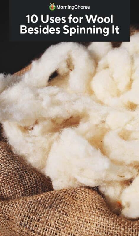 Sheep Wool Crafts, Small Holding, Icelandic Sheep, Homestead Life, Home Decor Diy Crafts, Homestead Ideas, Wool Insulation, Diy Wool, Alpaca Farm