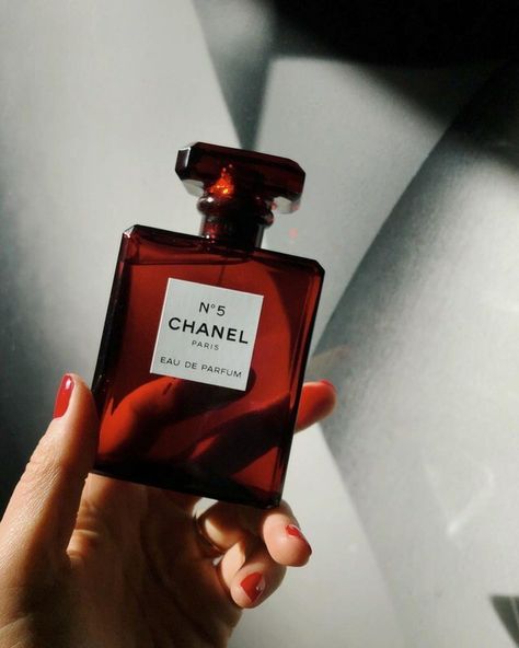 Chanel perfume~ Burgundy Aesthetic, Red Perfume, Estilo Ivy, I See Red, Chanel Perfume, Dark Feminine Aesthetic, Dolce E Gabbana, Aesthetic Colors, Aesthetic Images