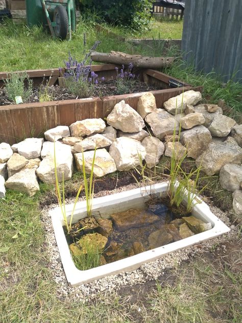 This little pond was simple to make and is a perfect haven for the wildlife in out garden Nature, Wildlife Container Pond, Wildlife Friendly Backyard, Wildlife Water Station, Mini Wildlife Pond, Small Wildlife Pond Ideas, Wildlife Ponds For Small Gardens, Belfast Sink Pond, Small Wildlife Pond