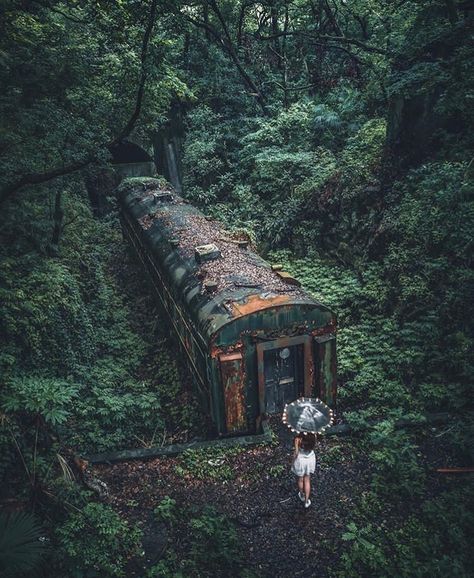 Inference Pictures, Abandoned Train, Abandoned Buildings, Abandoned Houses, Fantasy Landscape, A Train, Abandoned Places, In The Middle, Mother Nature