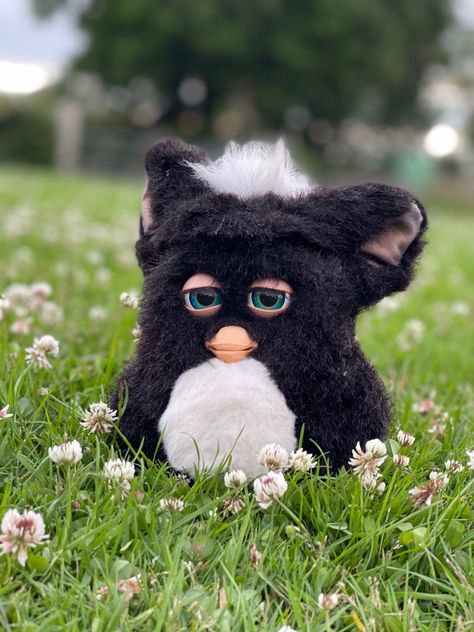 #furby2005 #furby 2005 Furby, Custom Furbies, Furby 2005, 2005 Aesthetic, Custom Furby, Long Furby, Lip Gloss Homemade, Enjoying Nature, Look Alike