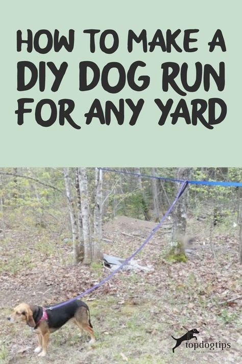 Diy Dog Run Cheap How To Build, Dog Zip Line Backyard Diy, Diy Dog Run Outdoor, Dog Runner Ideas Backyard, Dog Tie Out Ideas, Diy Dog Run Cheap, Dog Trolley Run Ideas, Dog Leads Diy How To Make, Diy Dog Run Side Yard