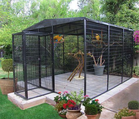 AMAZING macaw aviary!!! Bird Aviary For Sale, Outdoor Aviary, Aviary Ideas, Reban Ayam, Pet Bird Cage, Large Bird Cages, Outdoor Cat Enclosure, Bird House Kits, Bird Aviary