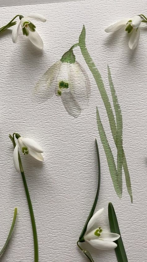 Sharing a tutorial for one of my favorite flowers ever ☺️ - Snowdrops ! I have painted a version every year these past couple years . Yet… | Instagram Snowdrop Flower Painting, Snowdrop Flower Wallpaper, Snowdrop Flower Aesthetic, Snowdrop Aesthetic, Snowdrop Flower, Slow Morning, Story Cover, Inspo Pics, Painting Inspo